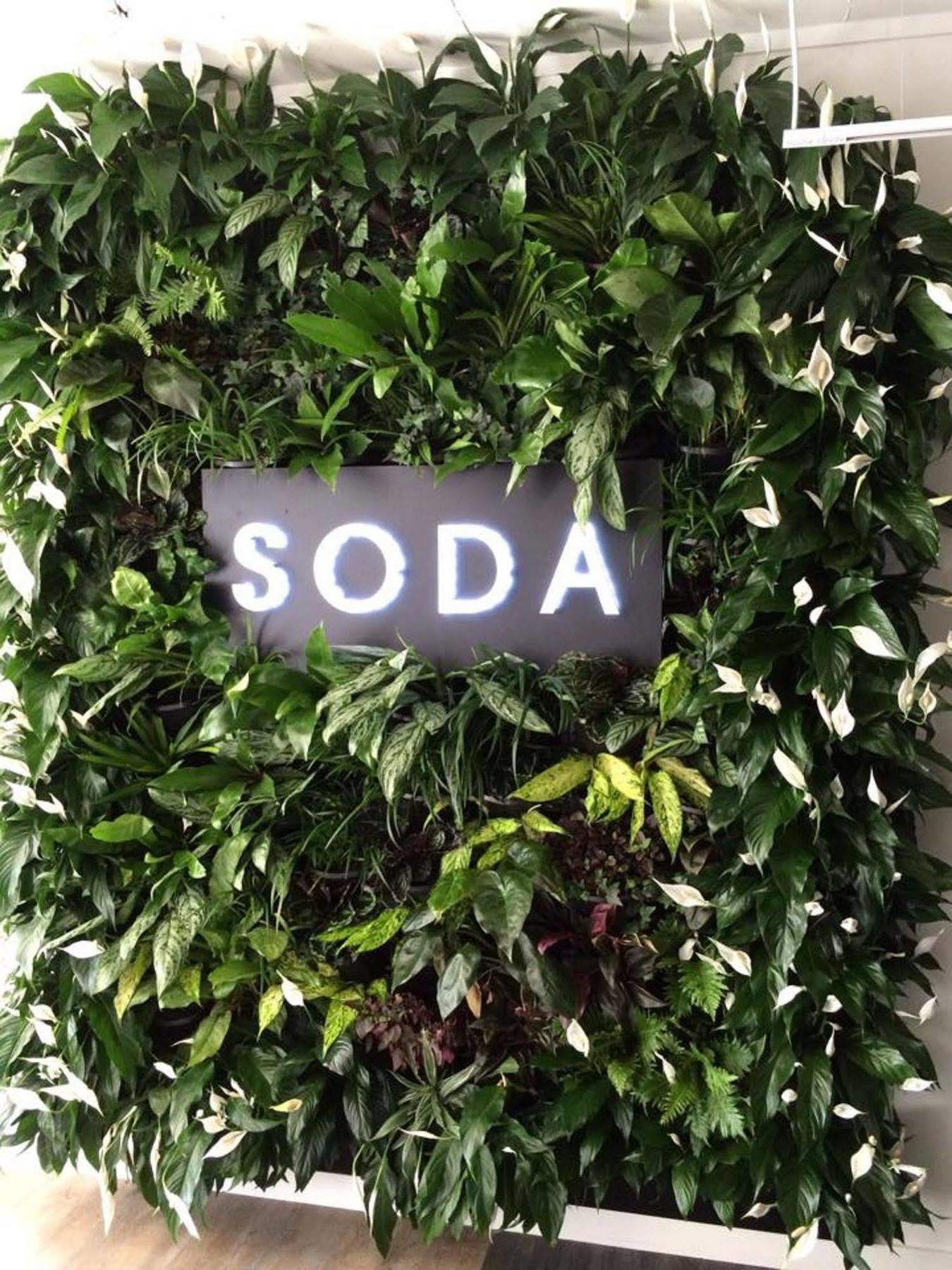 Soda Apartments By Cllix Brisbane Eksteriør billede